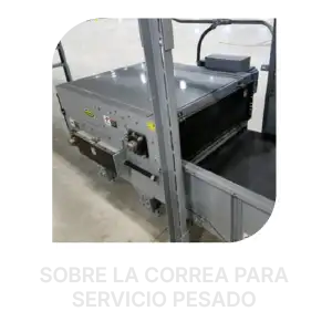 servicio pesado