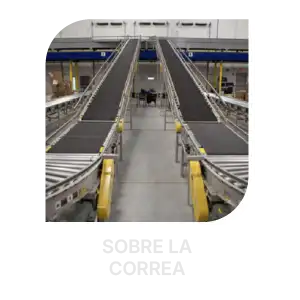 sobre la correa